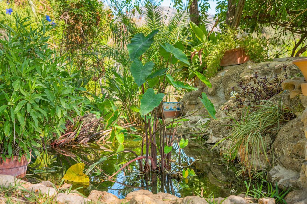 Finca Alqueria Campanet Ngoại thất bức ảnh